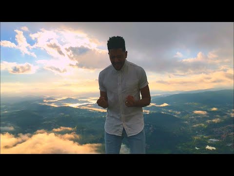 Aviva - Pedro Tertullian