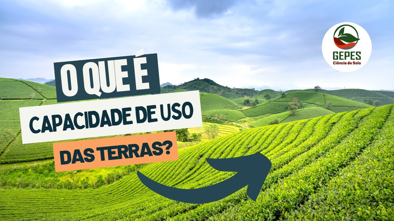 Conheça o Sistema de Classificação da Capacidade de Uso das terras agrícolas