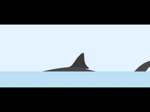 Mosasaurus vs Megalodon