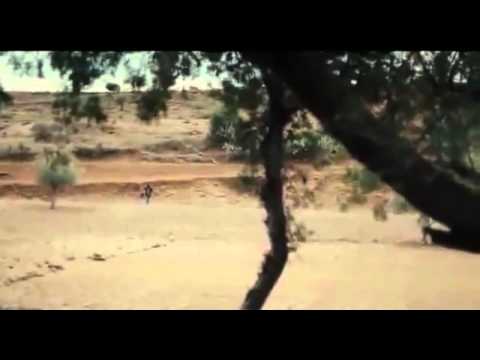 La source des femmes (2011)