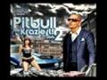 pitbull ft nigga - feels good estreno 2010 mundial ...