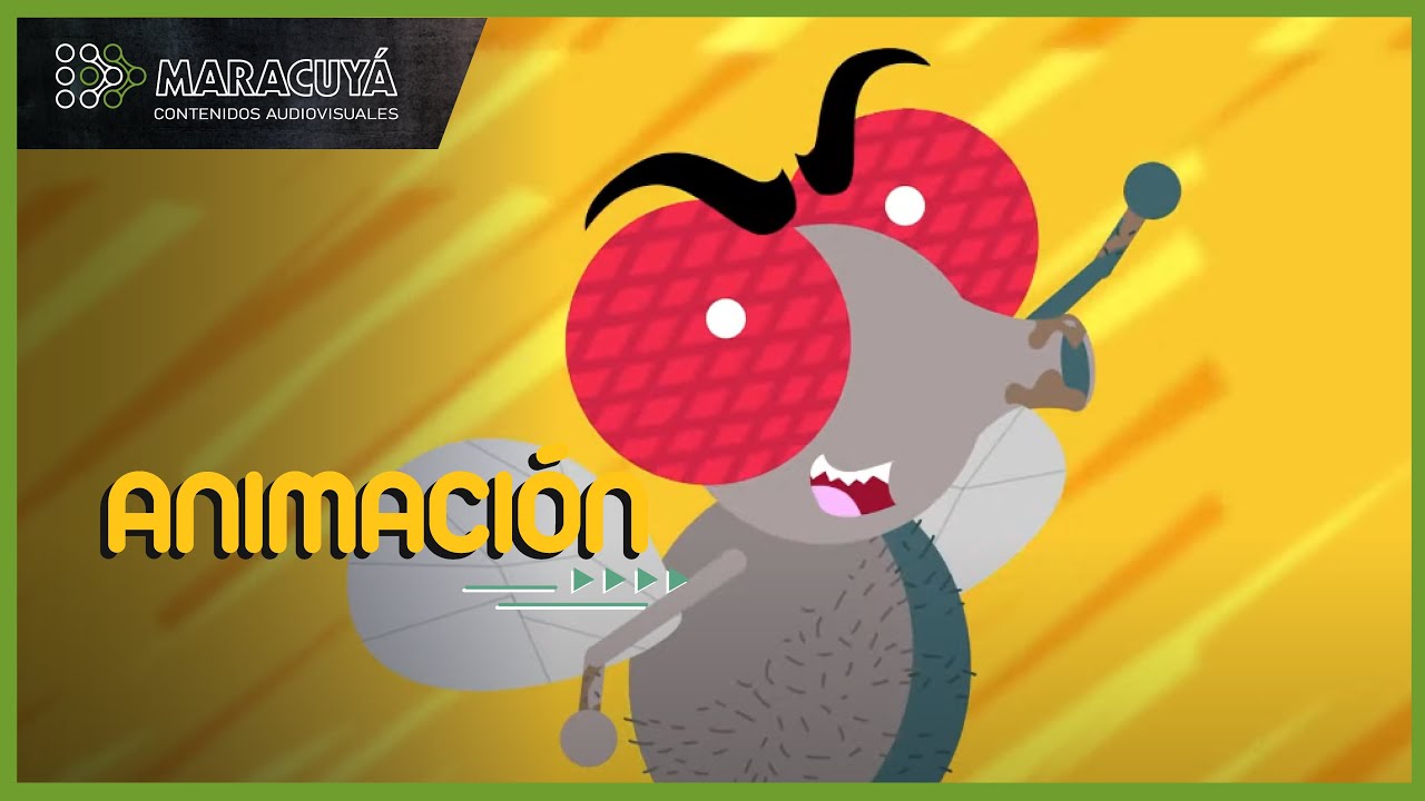 Video animado 3