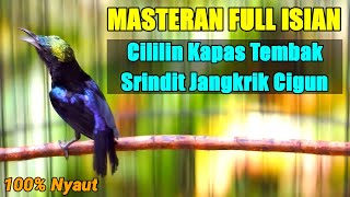 Download lagu MASTERAN KOLIBRI NINJA FULL ISIAN TEMBAKAN CILILIN KAPAS TEMBAK SRINDIT JANGKRIK CIGUN mp3