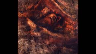 FLOWERS AND RAZORWIRE