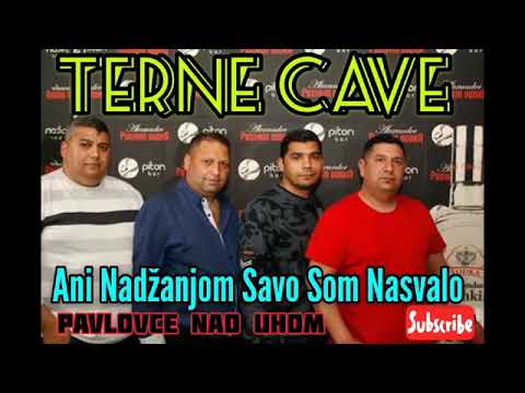 PAVLOVCE TERNE CAVE 33   ANI NADZANJOM SAVO SOM NASVALO