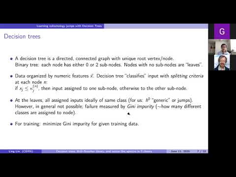 Ling Lin, CERN, On decision trees, Brill—Noether, and vector-like spectra in F-theory