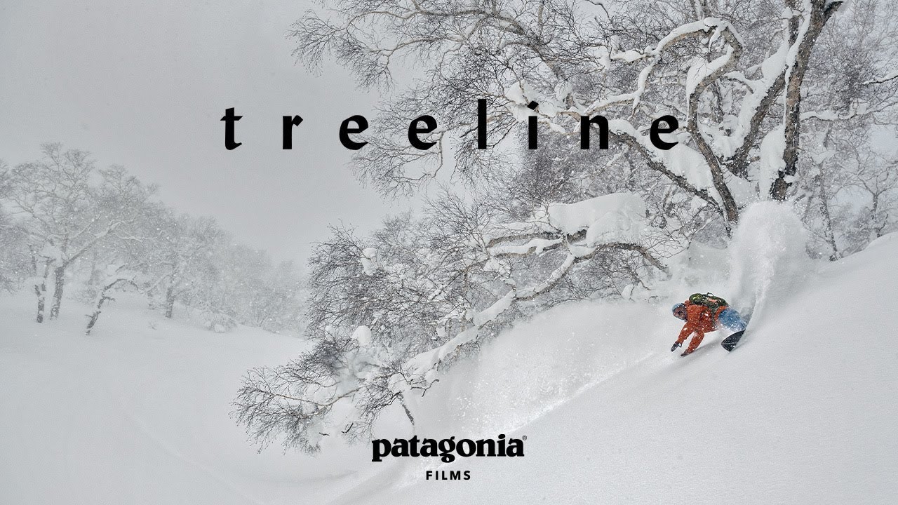 Treeline | The Secret Life of Trees