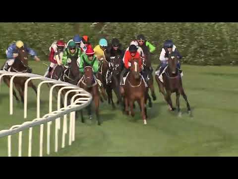 2023.05.07. 10. futam - TIPPMIX - HAZAFI DÍJ (HUN Gd-3)