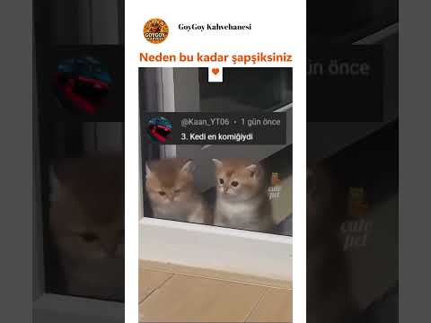 Patisini ısırdığı yerde koptum 😻