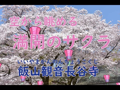 空から眺める満開のサクラ　飯山観音長谷寺 [神奈川県厚木市]