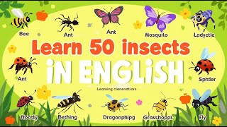 50 Insect Vocabulary in English with Pronunciation | Learn English Words for Kids and Beginners