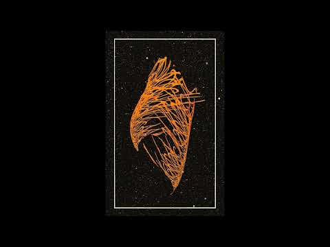 Silencio Permanente / Nözaakr (Argentina / France) - The Negative Gate (Split 2022)