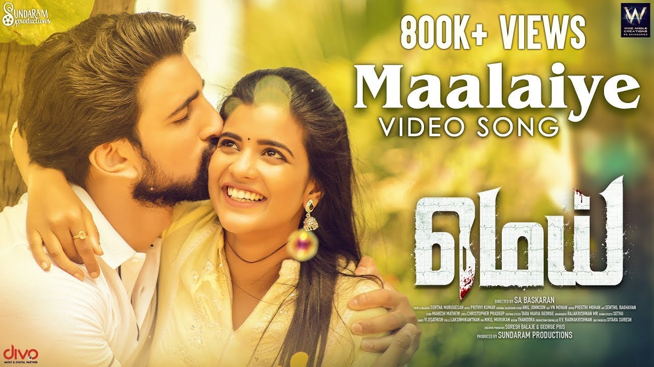 Maalaiye Lyrics | Mei | Aishwarya Rajesh | Anil Prithvi Kumar | Anil Prithvi Kumar