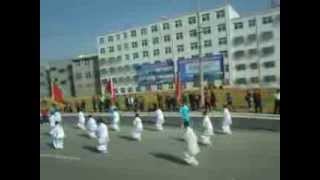 少林武术节迎宾式表演