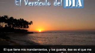 Miniatura del video: El versiculo del dia .com - Juan 14 v21