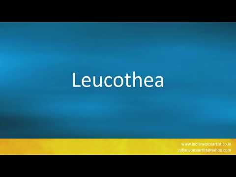 How to pronounce "Leucothea". (Sea Goddess)