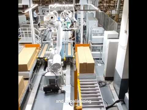 3D Industrial Vision Camera Work As Robot Arm Visual Guidance