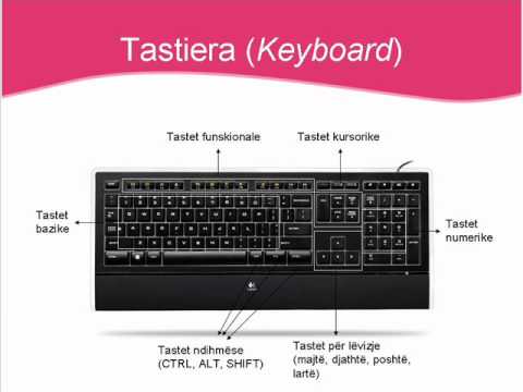 bazat e informatikes