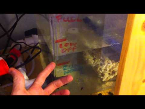 Reef tank ATO DIY auto top off do it yourself