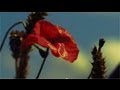 Совершенный Бог - Песня (Л. Дяченко) HD 