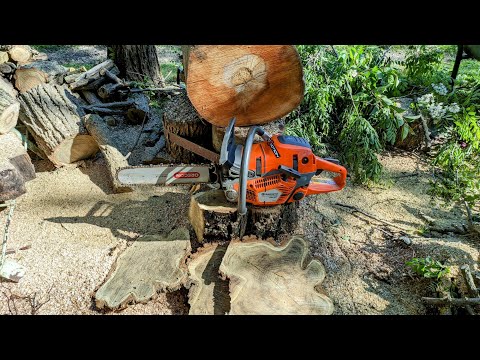 Ascute lanțul când începe să nu mai taie