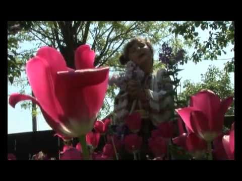 ANA ISOPESCU - Zau, la tara-i foarte bine - Muzica si text Virgil Popescu.avi