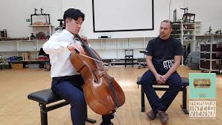 Versum Solo Cello D String - Multi-Alloy: Medium