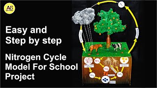 science model ideas | Nitrogen Cycle Model