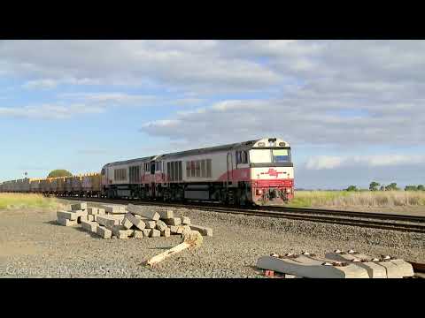 SCT 1MA9 Short Mixed Freight Train Approaches Gheringhap (21/1/2024) - PoathTV Australian Railways