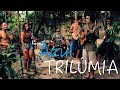 Azul - TRILÚMIA (Djavan) | Steemit Open Mic #104