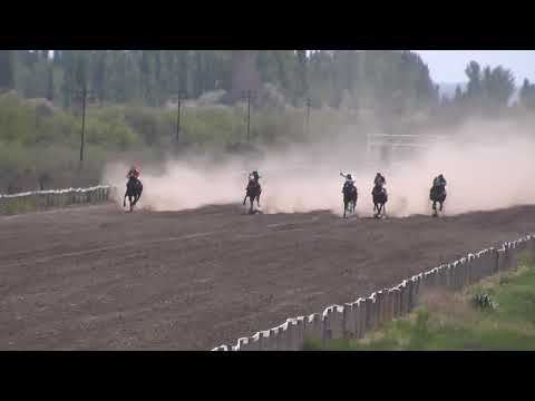 LUCHITO SOY  Club Hipico "Los Olivillos" -   Chimpay  - 15/ 10/ 2022