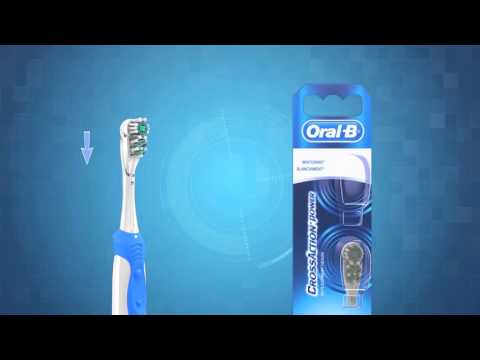How to replace brush head of Oral-B Cross Action Power