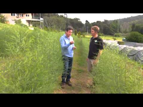 download lagu mp3 mp4 White Asparagus Australia, download lagu White Asparagus Australia gratis, unduh video klip White Asparagus Australia