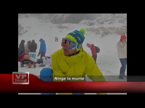 Ninge la munte
