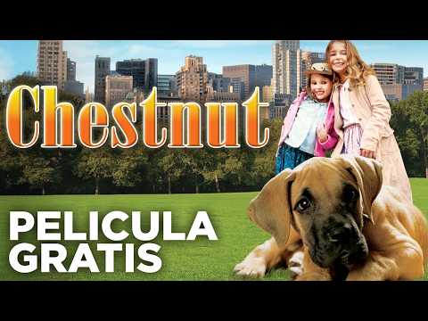 Chestnut: El Héroe de Central - Espanol Latino
