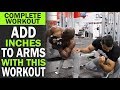 Add inches to your ARMS with this WORKOUT! (Hindi / Punjabi)