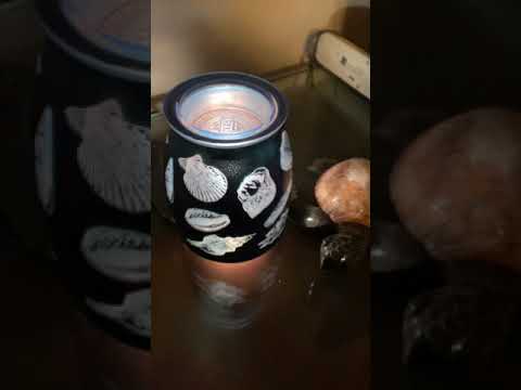 Tide Pool Scentsy Warmer