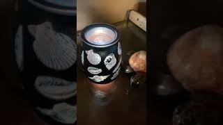 Scentsy Tide Pool Warmer review 🌊