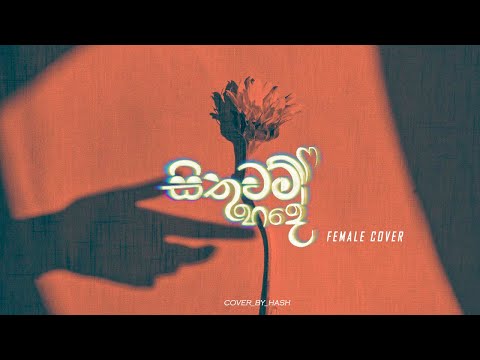 Sithuwam Hade | Female version | A cover by  Hashmi Sathnara @Ayshcharya
