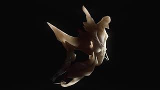 Theo Alexander – “Accidental Enlightenment”