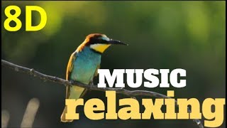 🎧8D-Music RELAXING  nature sound birds-meditati