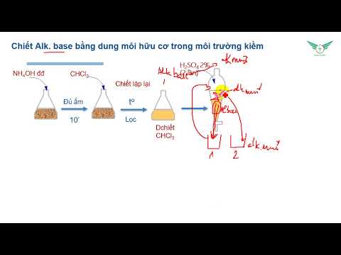 THDL ALCALÓIDE LÝ THUYẾT