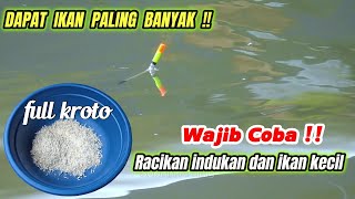 Download lagu THE SECRET OF THE LATEST CARP FISH BAIT EXPERIMENTAL MIXTURE‼️PARENT FISH EAT SMALL FISH EAT‼️ mp3