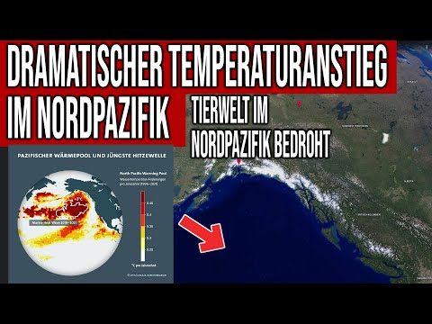 Dramatic temperature rise in the North Pacific - Catastrophic impact on wildlife