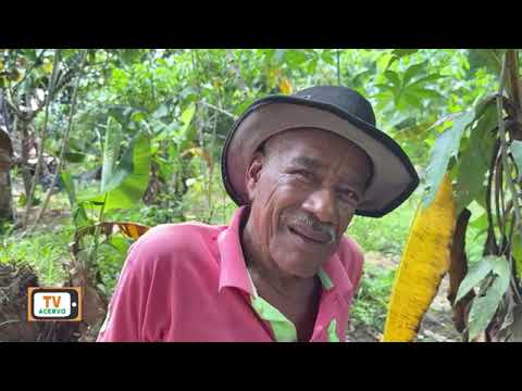 TV ACERVO URUÇUCA BAHIA - Histórias e vida de Paulo da carroça 