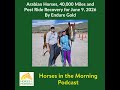 Arabian Horses, 40,000 Miles and Post Ride Recovery for June 9, 2026 By Endure Gold