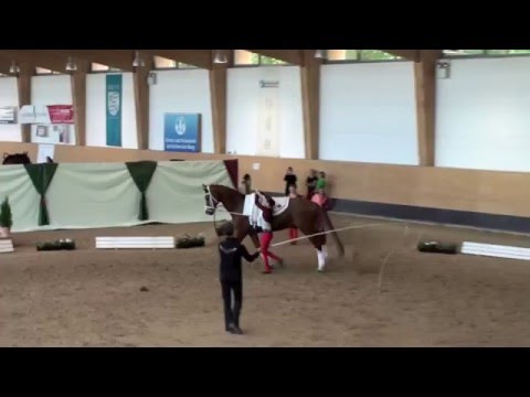 Bayerische Meisterschaften 2011 - Ingelsberg Einzel.mov