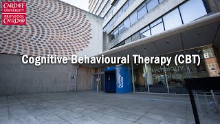 Cognitive Behavioural Therapies (PG Certificate and PG Diploma)