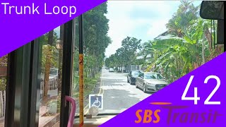 Singapore SBS Transit Trunk Bus Service 42 Route Visual
