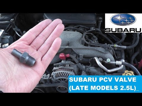 Austausch des PCV-Ventils bei Subaru | 2,5-Liter-PCV-Ventil | Subaru-Spätmodelle